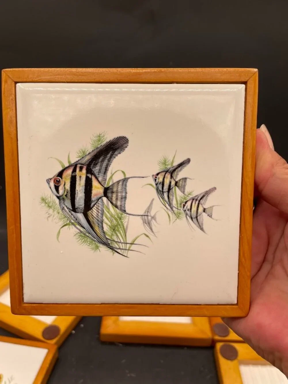 Set Of 6 Ceramic Tiles Wood Frame Tropical Fish Decals Coasters Trivets Aquatic